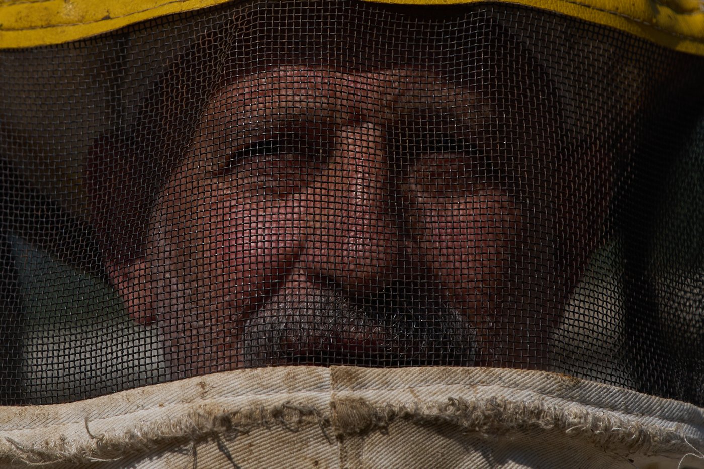 The top photos of the day by AP photojournalists | iNFOnews.ca