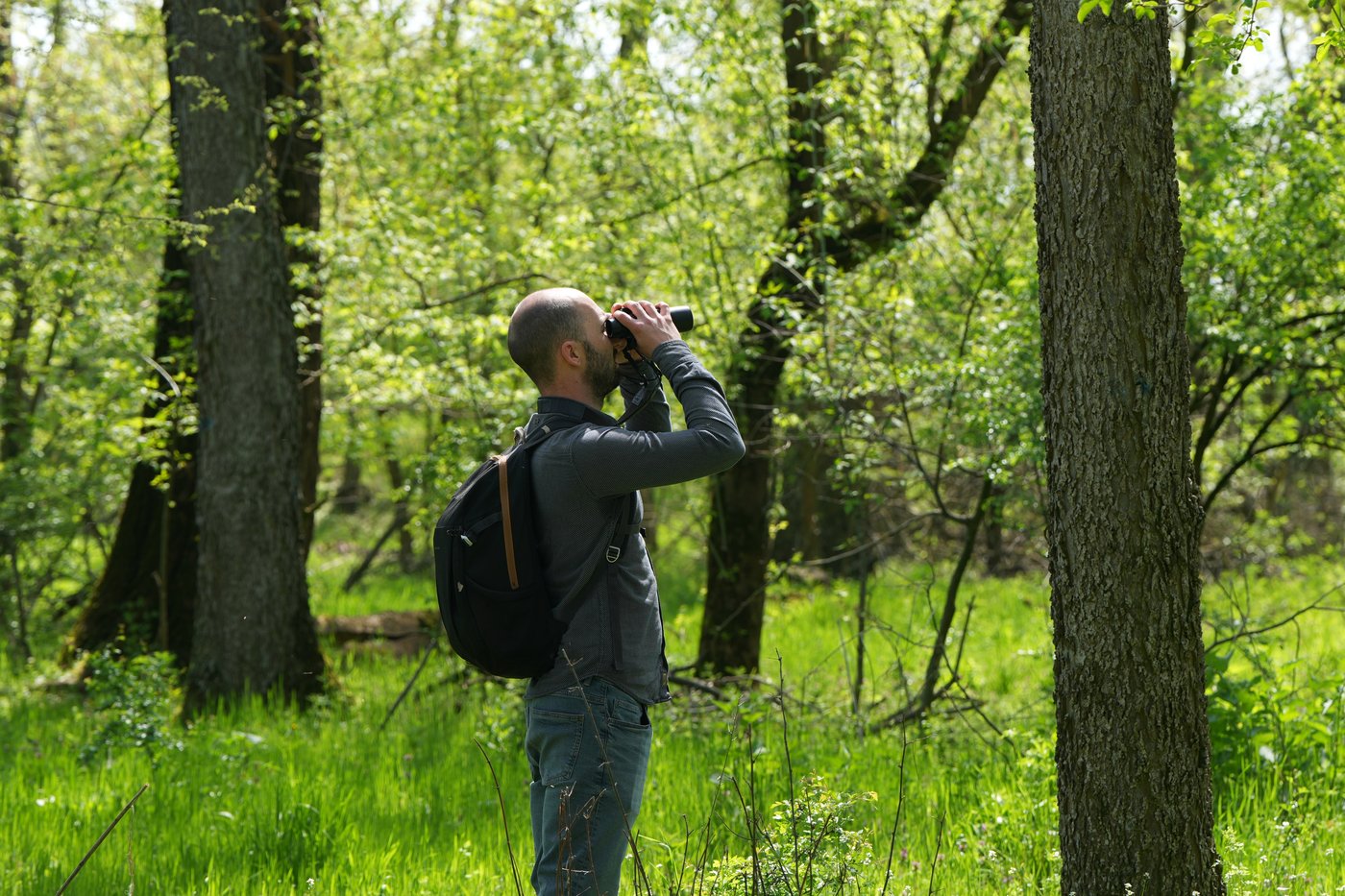 A Serbian bird-watching group uses crowdfunding to buy and preserve a woodland habitat | iNFOnews.ca A Serbian bird-watching group uses crowdfunding to buy and preserve a woodland habitat | iNFOnews.ca