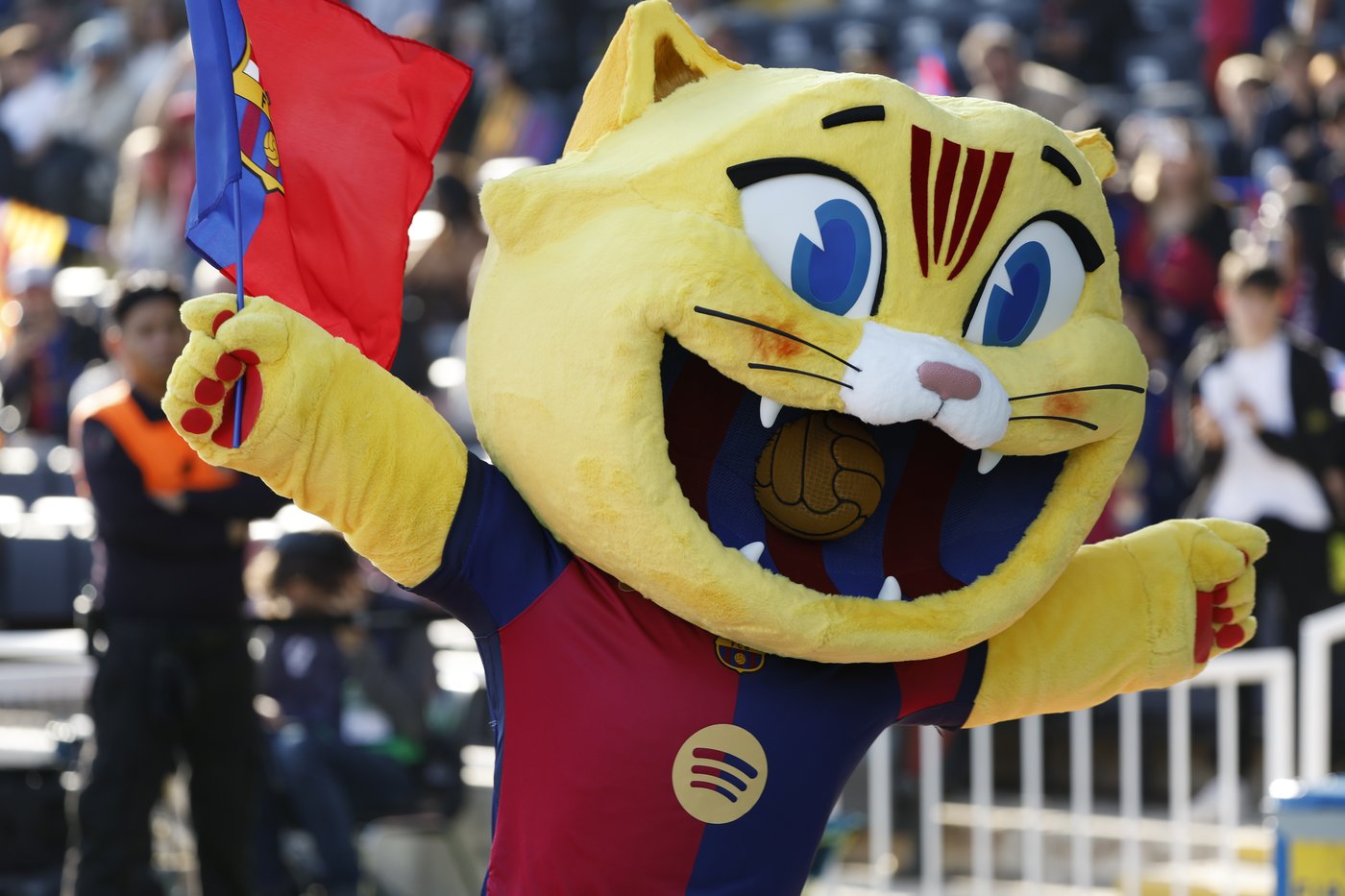 Barcelona's feline mascot 'Cat' makes its debut at home game | iNFOnews.ca
