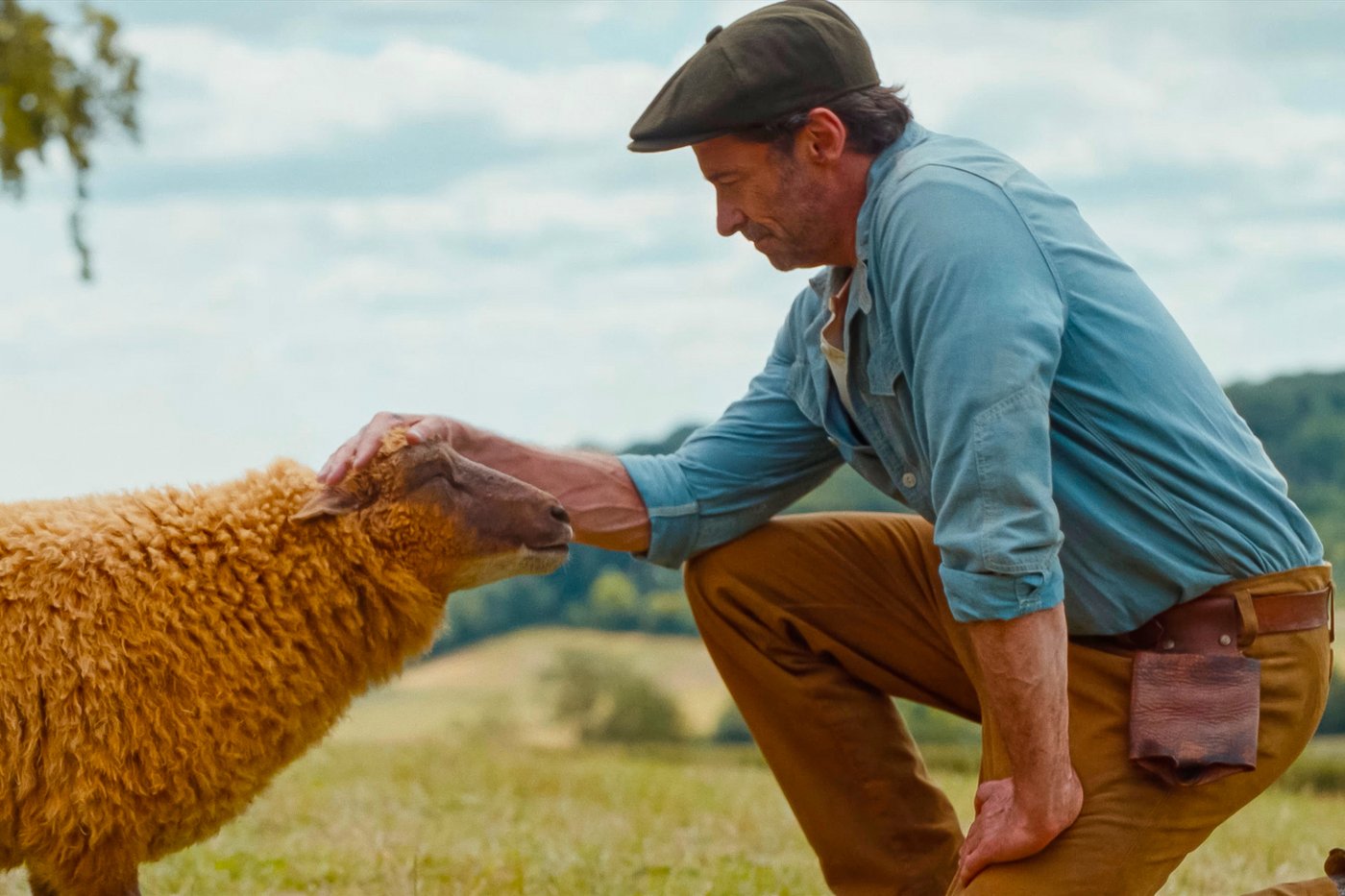 ‘The Sheep Detectives’ is the starry, family-friendly whodunit you didn’t know you needed | iNFOnews.ca