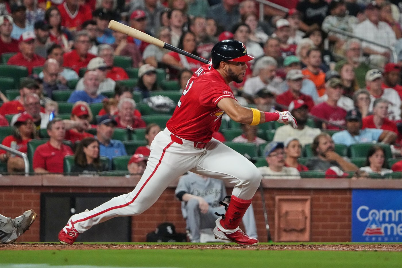 Rookies Báez and Bernal lead Cardinals to 7-3 win over White Sox | iNFOnews.ca Rookies Báez and Bernal lead Cardinals to 7-3 win over White Sox | iNFOnews.ca