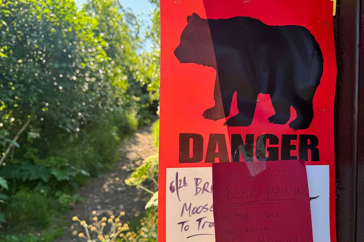 California homeowner rolls out 'unwelcome' mat for black bear living under his house | iNFOnews.ca