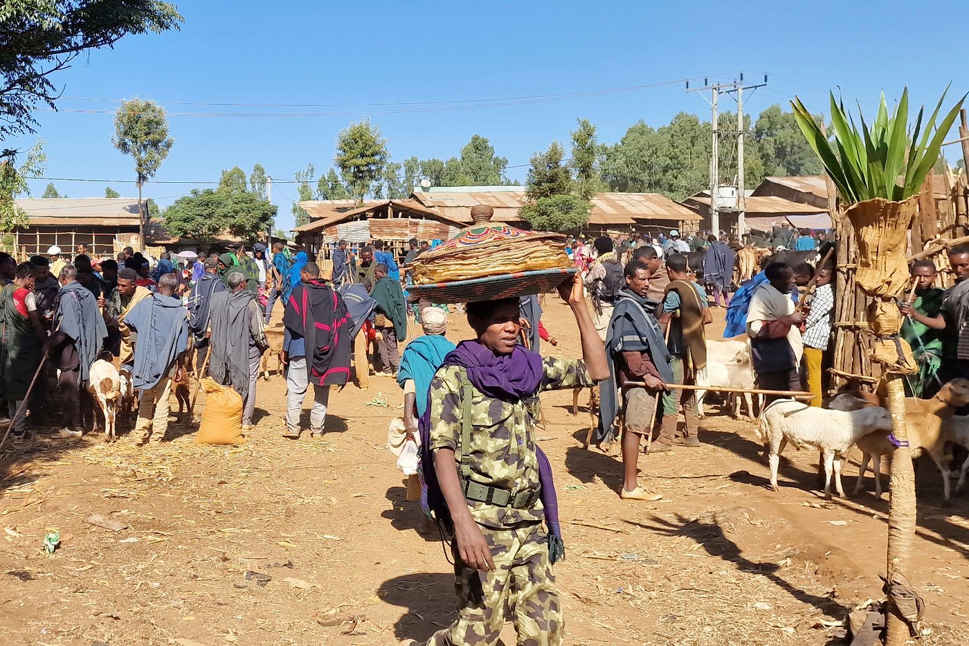 Is Ethiopia at war again? A look at the rebellion in one of its most powerful regions | iNFOnews.ca Is Ethiopia at war again? A look at the rebellion in one of its most powerful regions | iNFOnews.ca