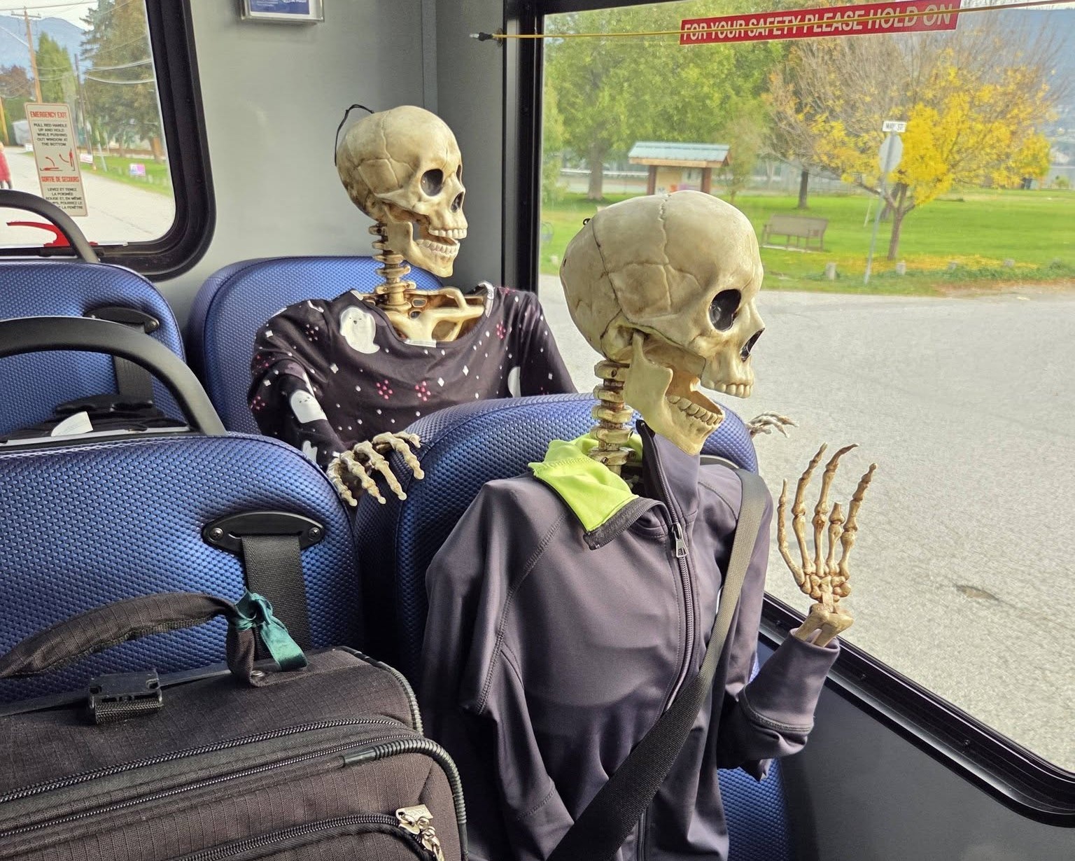 Two skeletons dressed like humans ride on a bus.