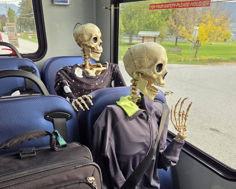 Two skeletons dressed like humans ride on a bus.