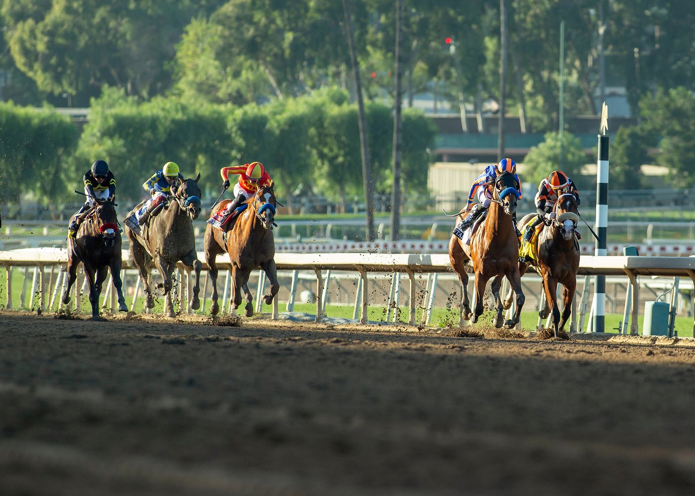 Plutarch wins Robert Lewis Stakes to give Baffert 8th straight victory in the race for 3-year-olds | iNFOnews.ca