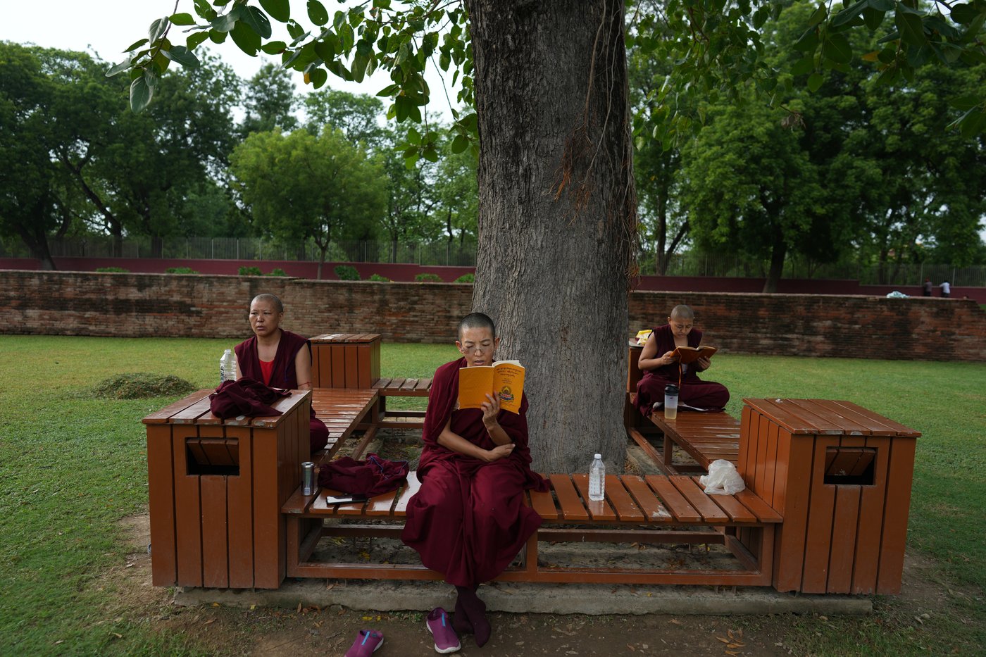 The ancient Buddhist site of Sarnath that has been added to the World Heritage list, in photos | iNFOnews.ca