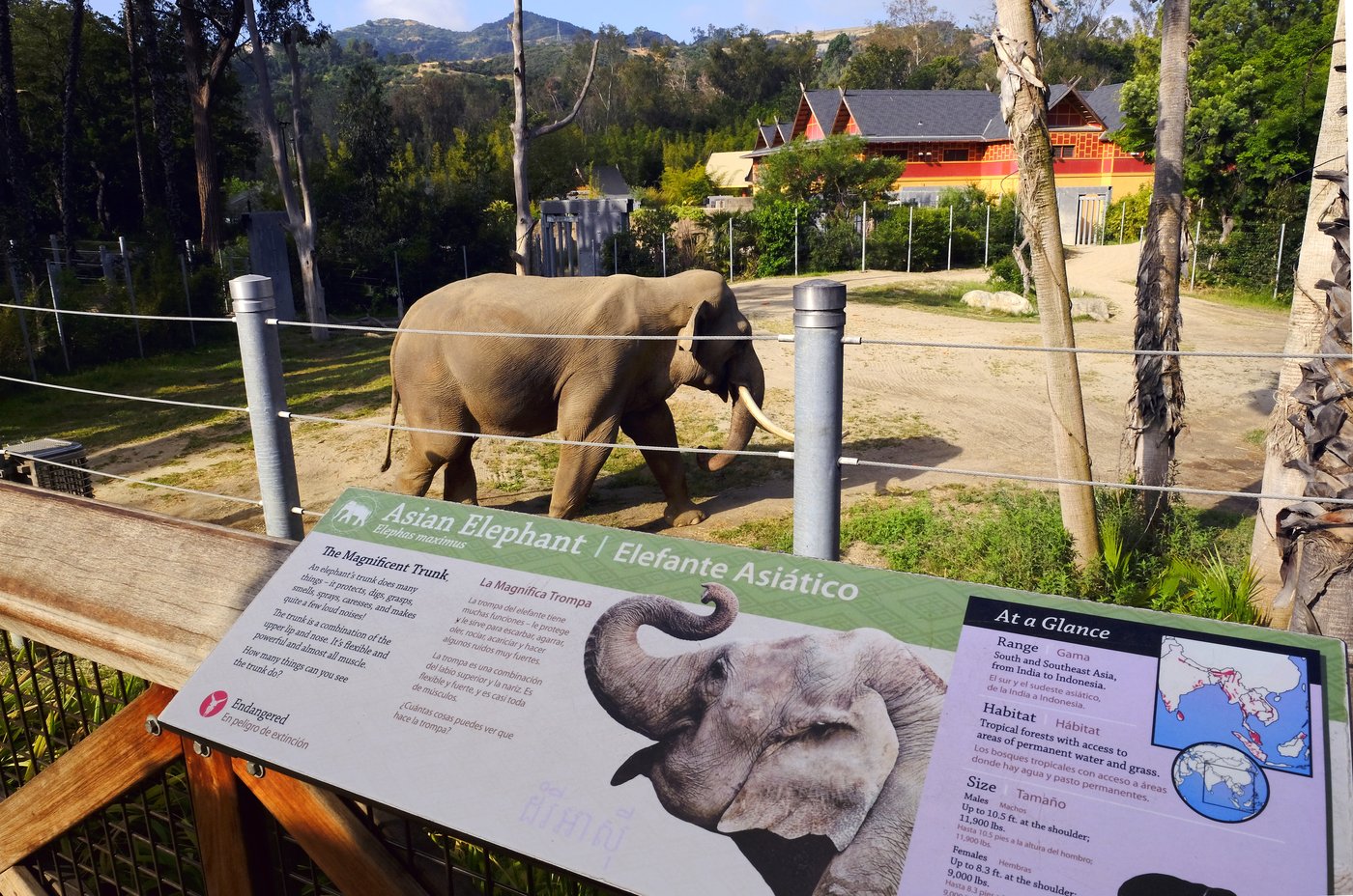 Aging elephants moved from Los Angeles to Tulsa Zoo, but advocates say they should be at a sanctuary | iNFOnews.ca Aging elephants moved from Los Angeles to Tulsa Zoo, but advocates say they should be at a sanctuary | iNFOnews.ca