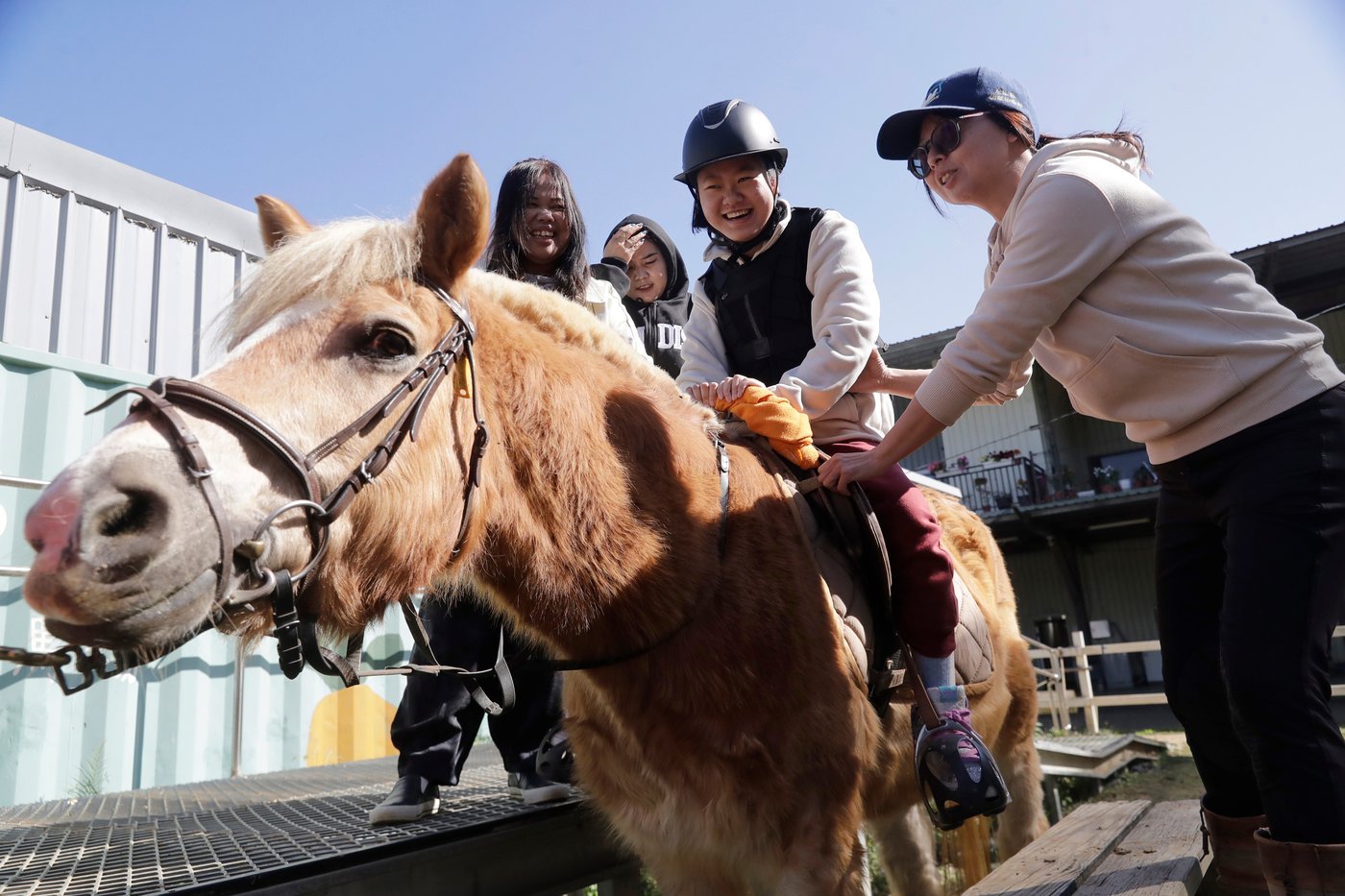 Children with disabilities find joy and support through horse therapy in Taiwan | iNFOnews.ca