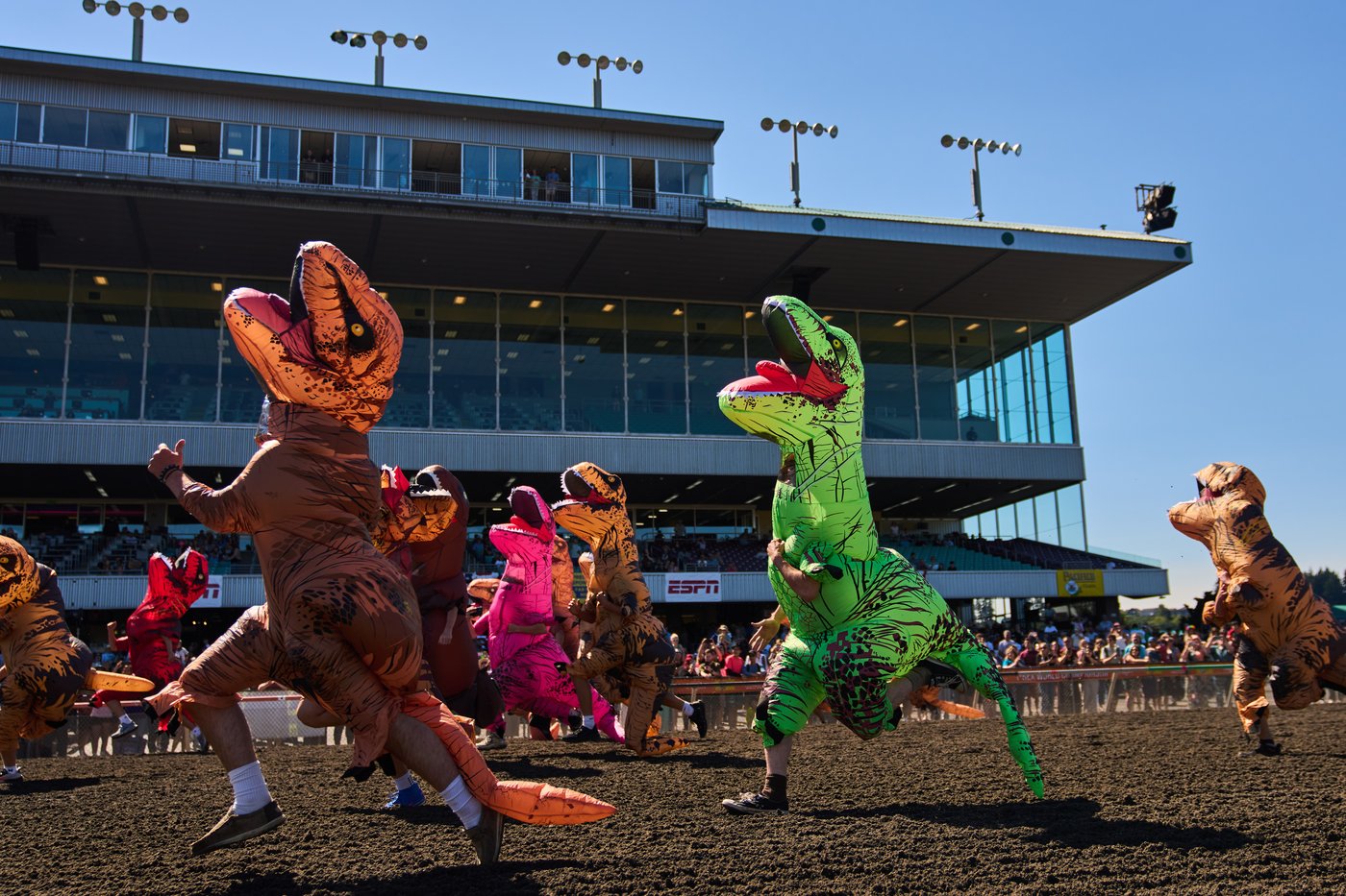 Inflatable dinosaurs race at Emerald Downs, in photos | iNFOnews.ca