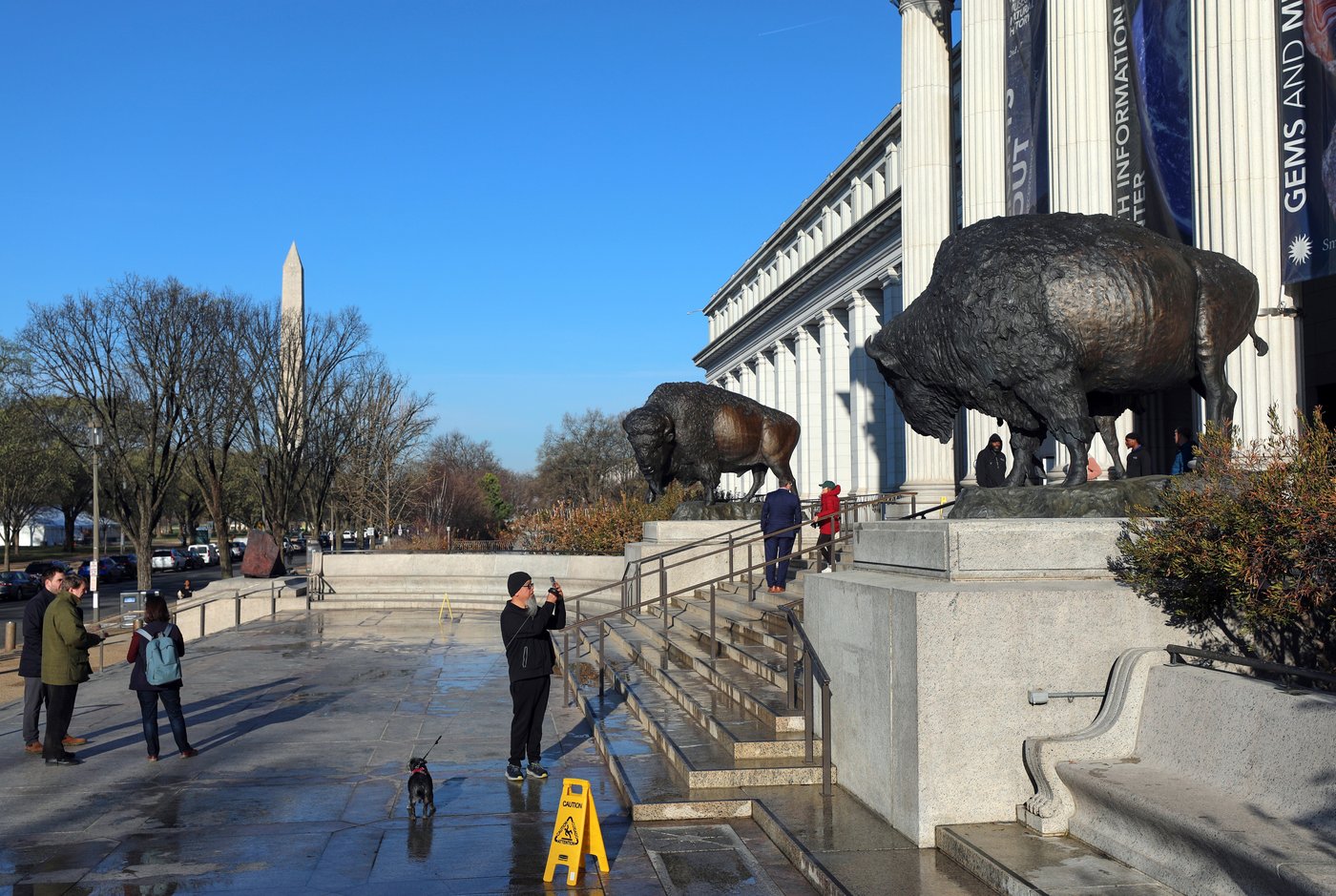 America's official mammal, the bison, gets a bronze tribute for the country's 250th birthday | iNFOnews.ca