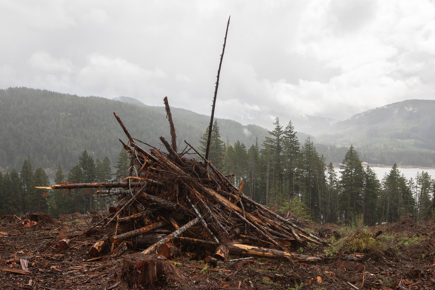 Road closed by Vancouver Island wildfire near Bamfield may open by October | iNFOnews.ca