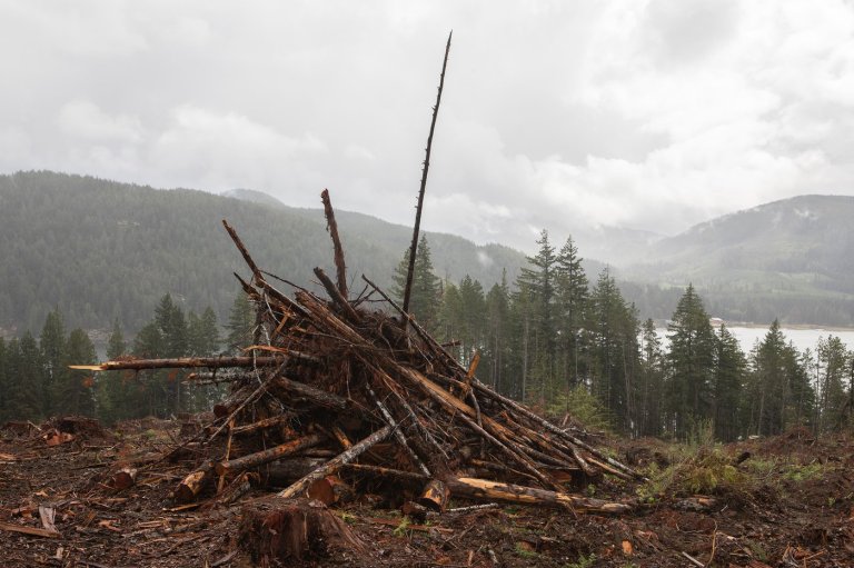 Road closed by Vancouver Island wildfire near Bamfield may open by October | iNFOnews.ca