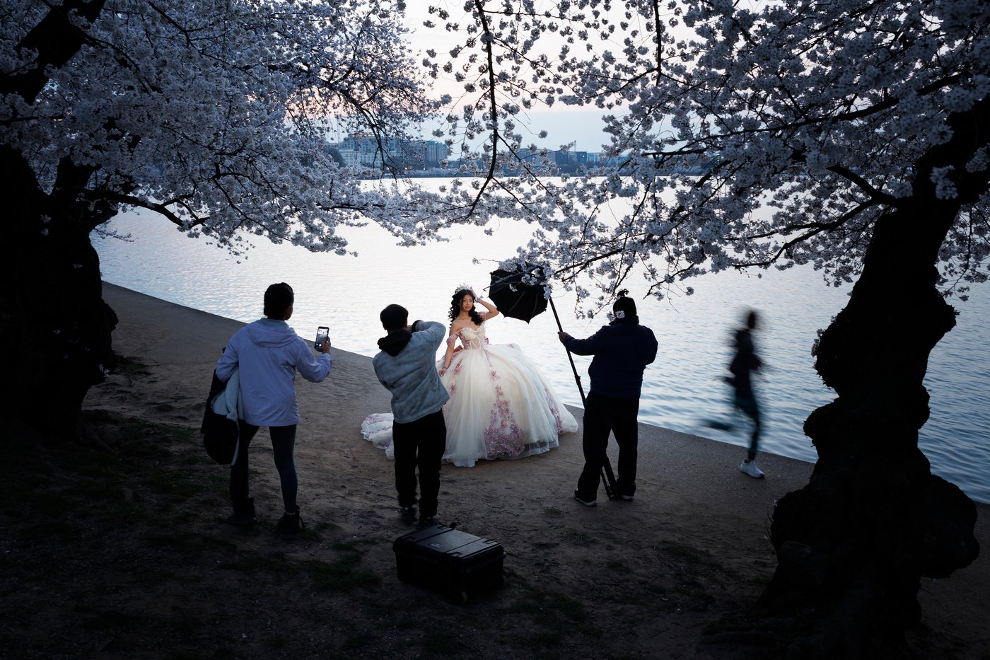 A world in bloom: Spring flowers unfold from Tokyo to Mexico, in photos | iNFOnews.ca