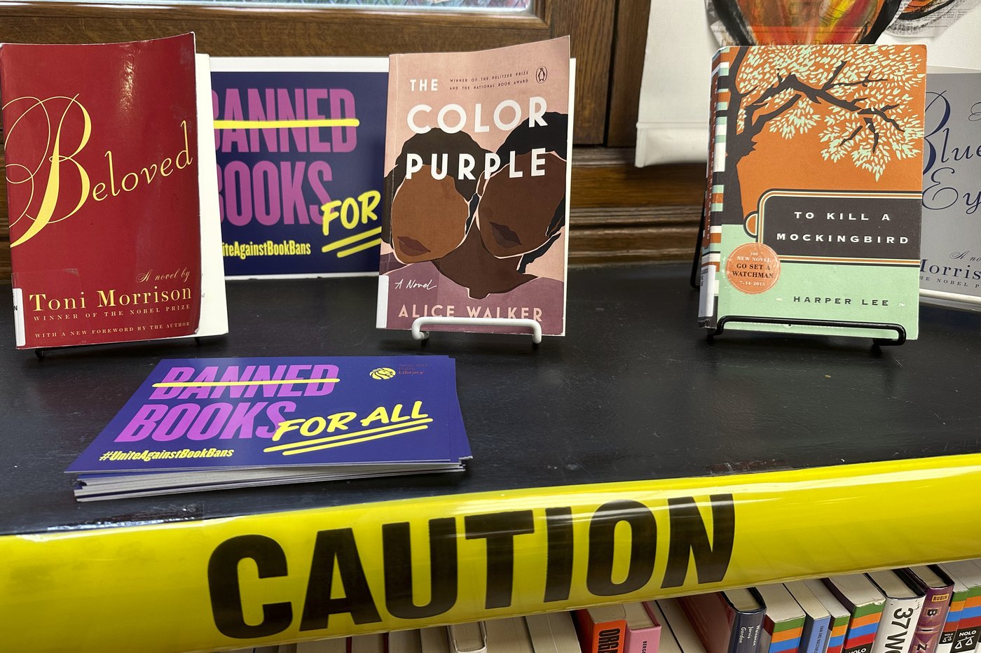 George M. Johnson's 'All Boys Aren't Blue' tops 2024 list of most 'challenged' US library books | iNFOnews.ca George M. Johnson's 'All Boys Aren't Blue' tops 2024 list of most 'challenged' US library books | iNFOnews.ca