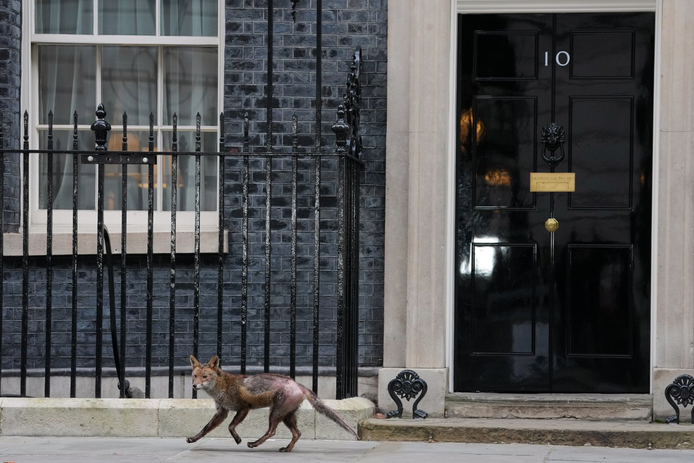 The top photos of the day by AP's photojournalists | iNFOnews.ca