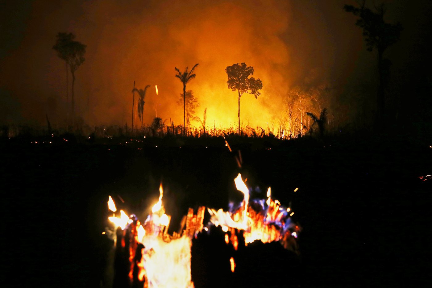 How close is the Amazon to a 'tipping point?' Brazil’s election could help shape its future | iNFOnews.ca How close is the Amazon to a 'tipping point?' Brazil’s election could help shape its future | iNFOnews.ca
