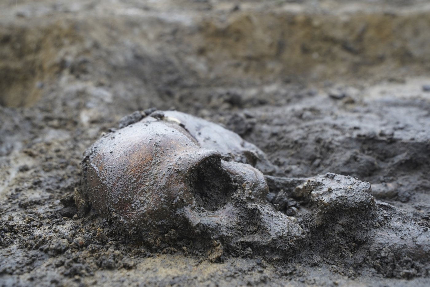 50 well-preserved Viking Age skeletons unearthed in Denmark | iNFOnews.ca