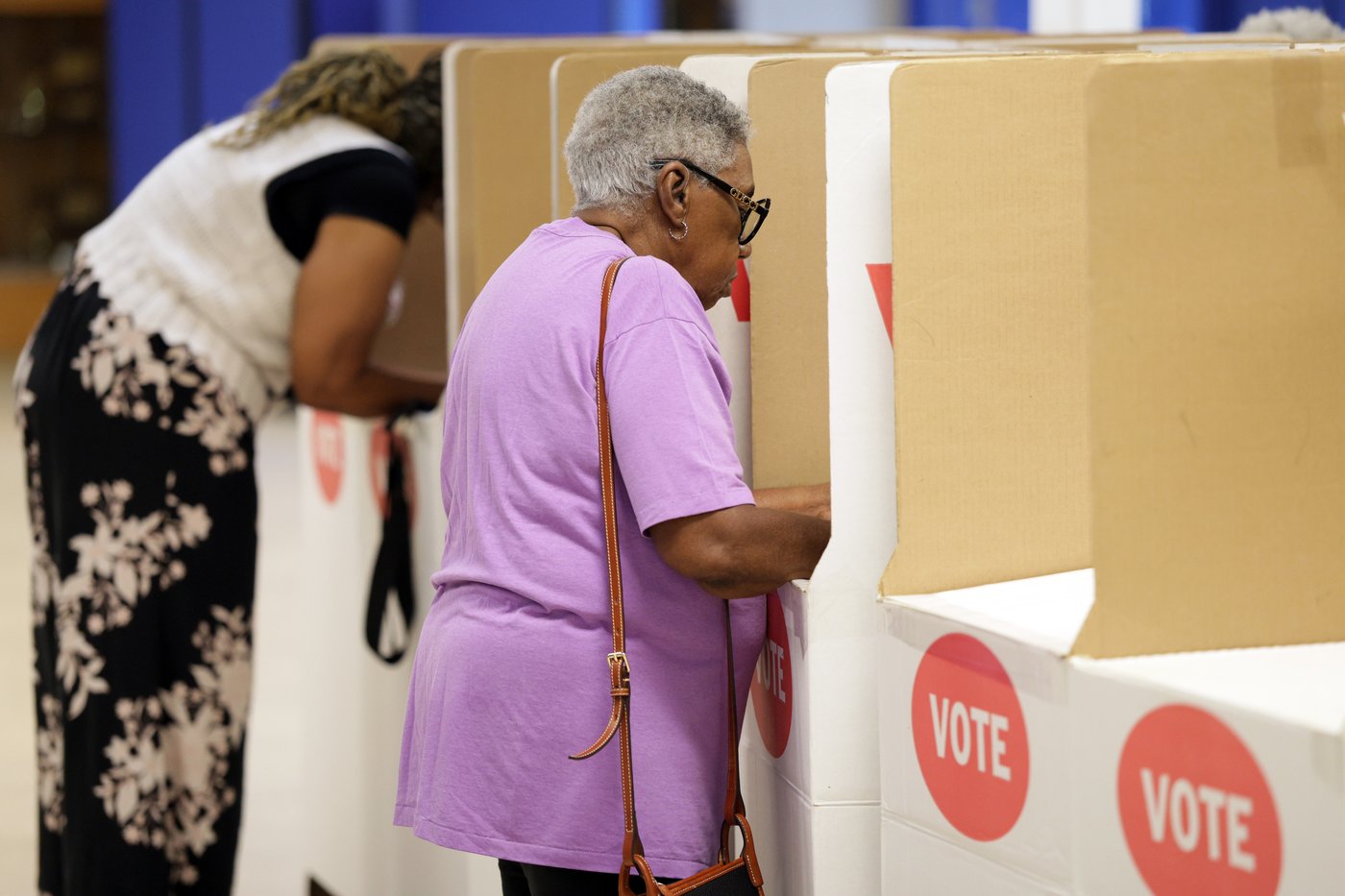 Federal judge halts Trump’s election executive order seeking to create a federal voter list | iNFOnews.ca