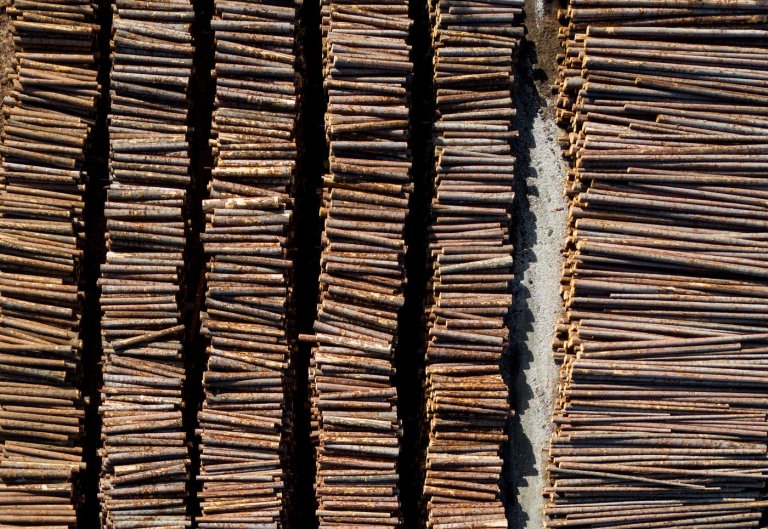 B.C. forestry sector in 'crisis,' triggering change in BC Timber Sales | iNFOnews.ca