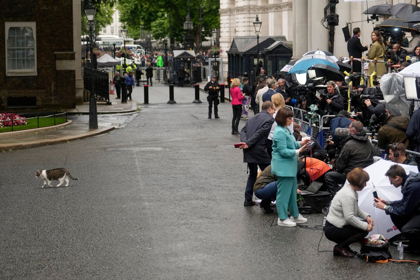Larry the cat, Britain's Chief Mouser at 10 Downing Street for 15 years, in photos | iNFOnews.ca