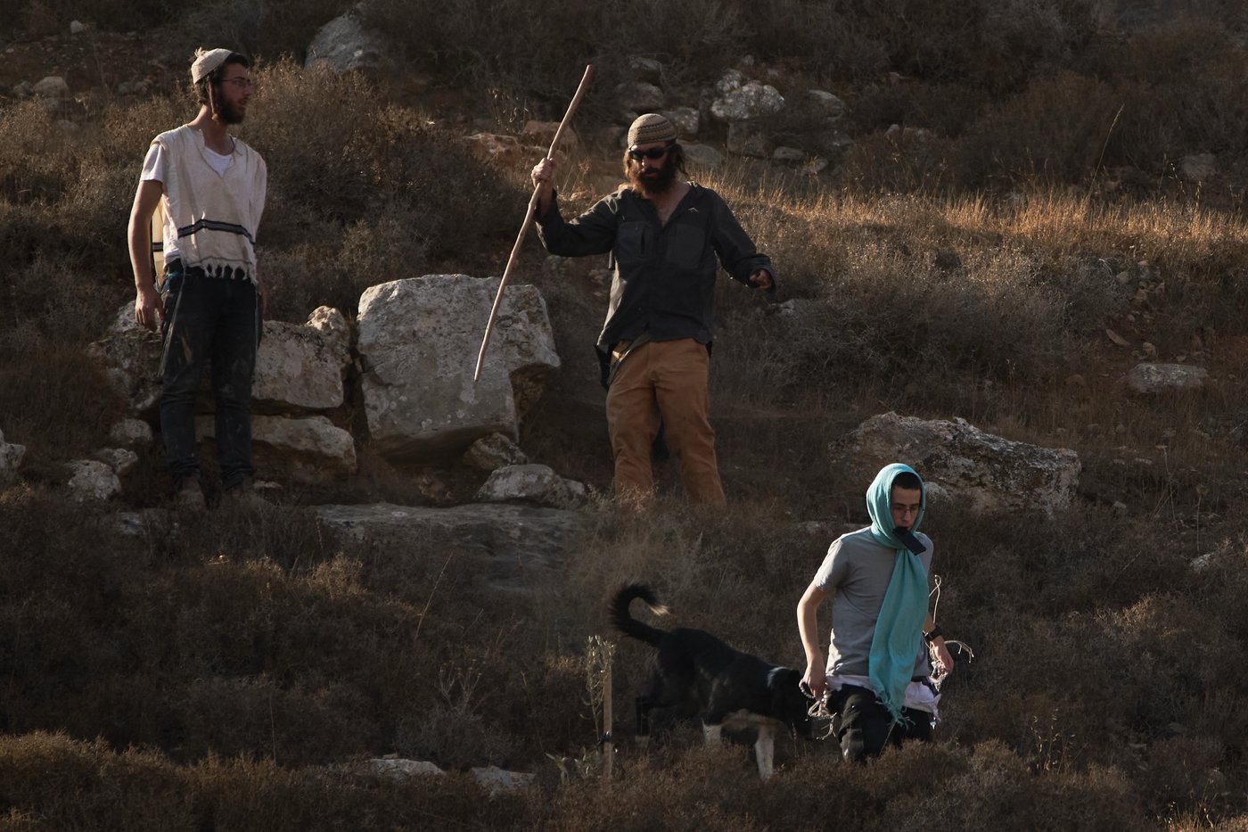 Photos capture West Bank olive harvest as villagers fear more violence by Israeli settlers | iNFOnews.ca