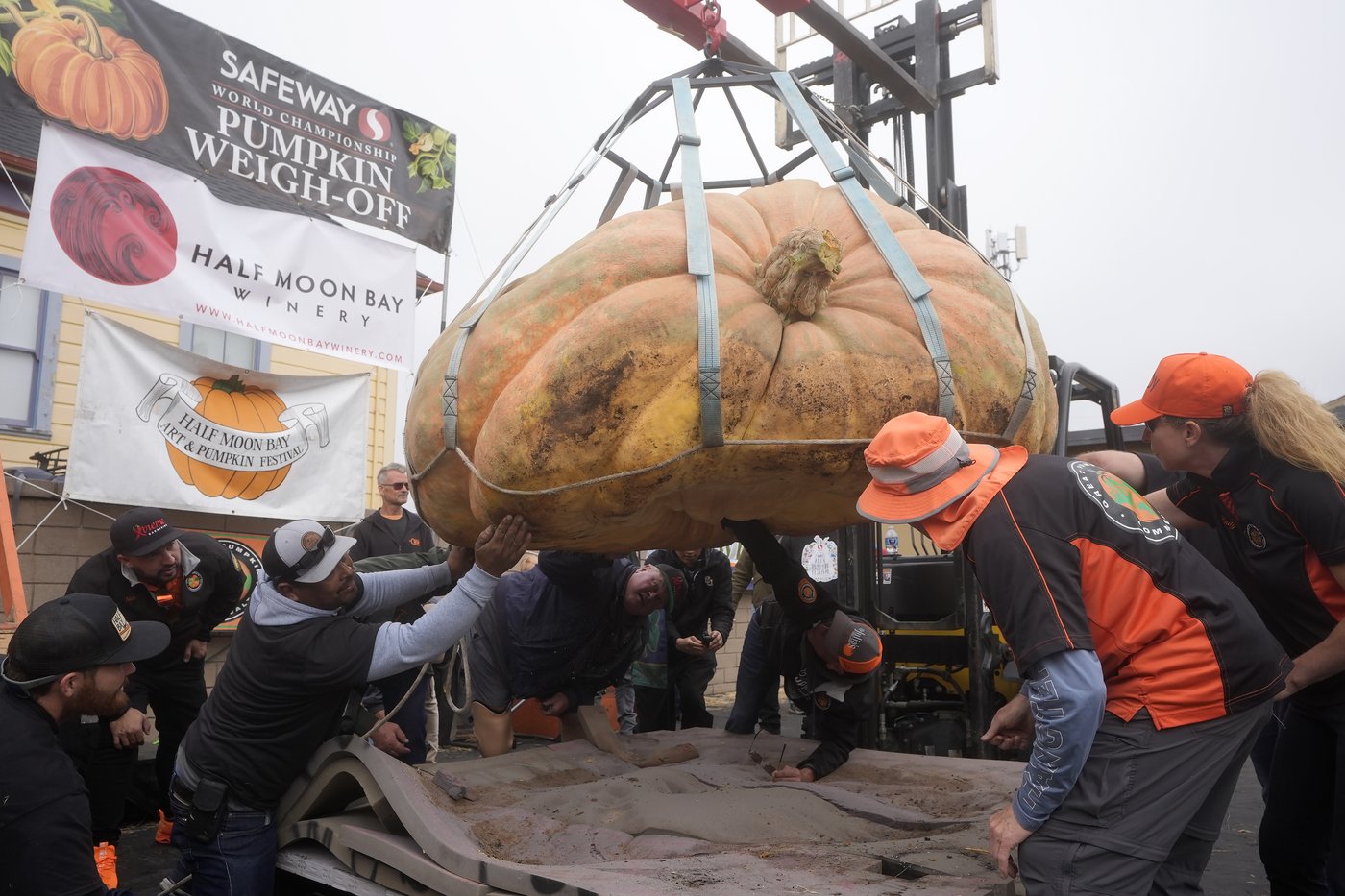 Pumpkin weighing 2,471 pounds wins California contest | iNFOnews.ca