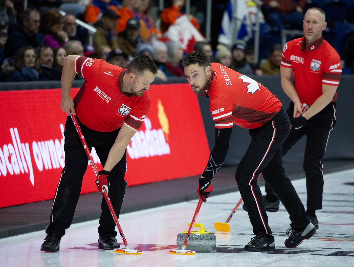"Battle of the Brads" looms at Brier, playoff races heat up | iNFOnews.ca "Battle of the Brads" looms at Brier, playoff races heat up | iNFOnews.ca