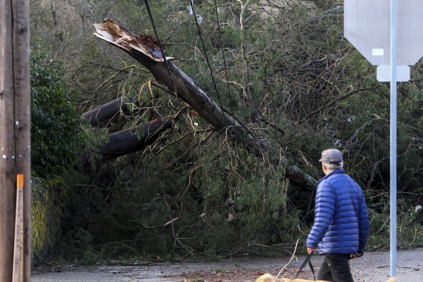 FEMA denies Washington state disaster relief from bomb cyclone, governor says | iNFOnews.ca