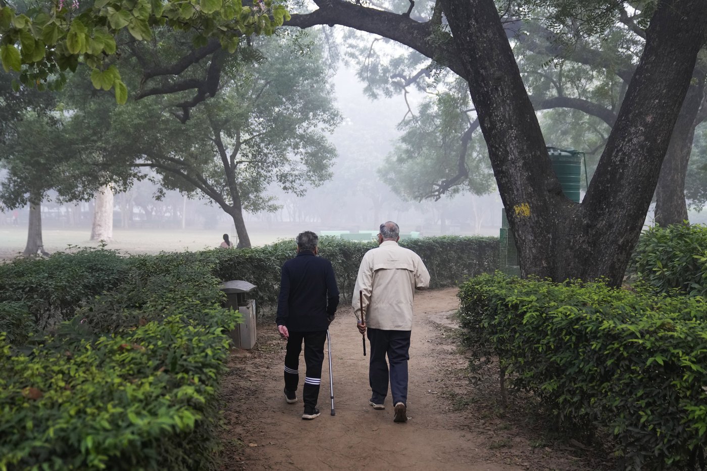 Park regulars in New Delhi's Lodhi Garden say toxic pollution levels won't force them out | iNFOnews.ca
