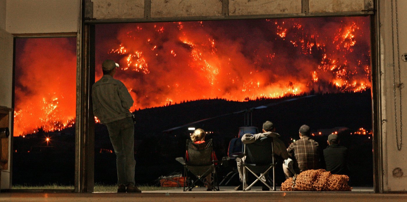 Invasive grasses may pose deadly risk post-wildfire, UBC researcher says | iNFOnews.ca