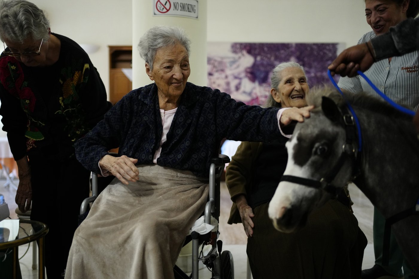 Greece's only miniature therapy horses bring joy to many, but their charity is struggling | iNFOnews.ca