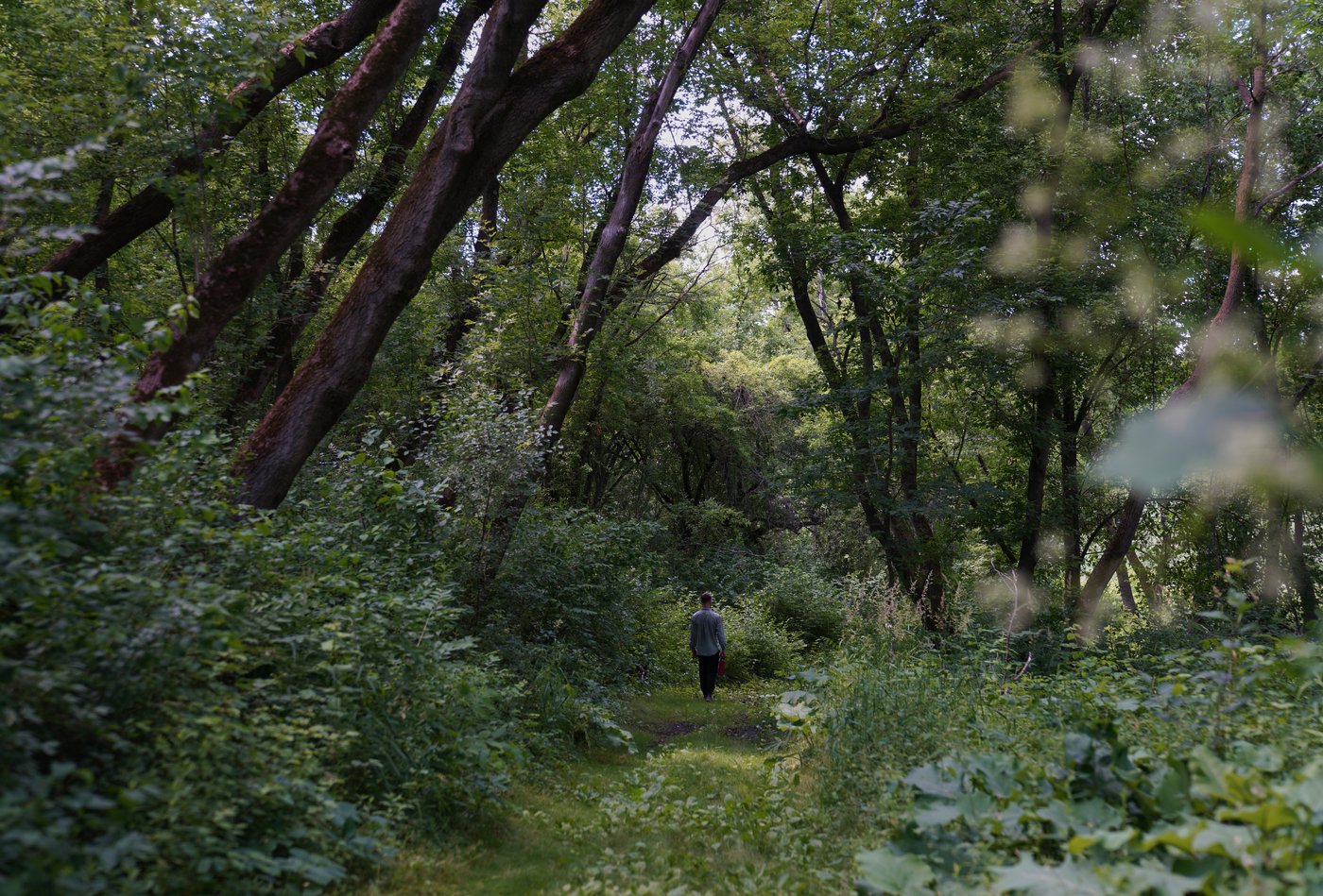 For these Midwest farmers, regenerative agriculture is about more than soil health. It's spiritual | iNwine For these Midwest farmers, regenerative agriculture is about more than soil health. It's spiritual | iNwine