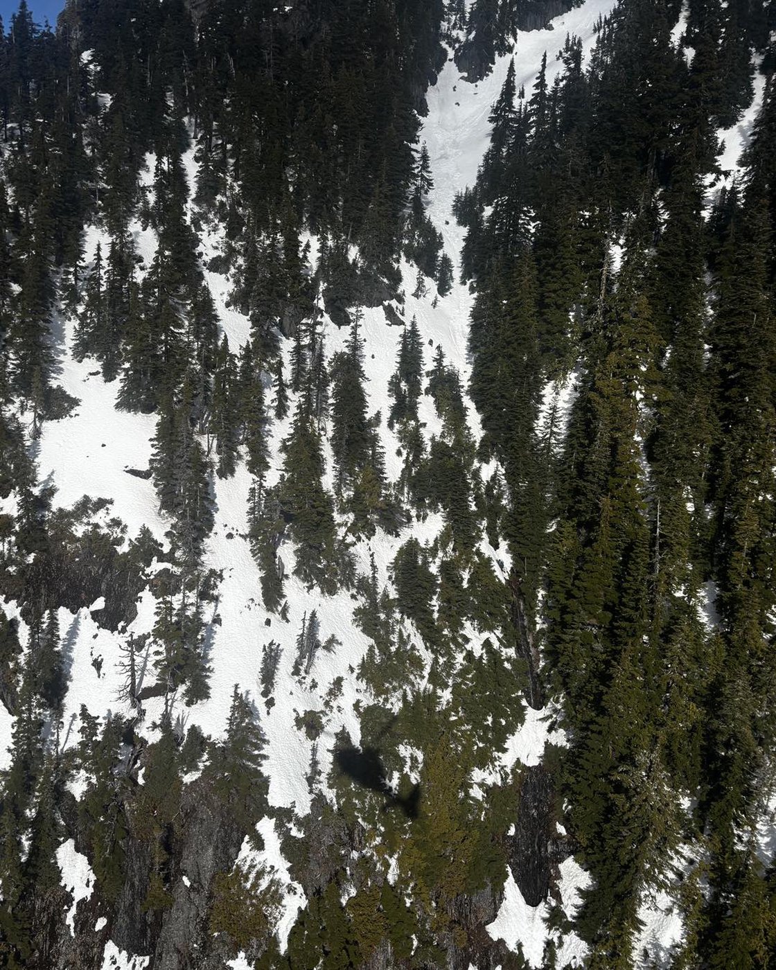 Family of Chinese hiker who died in B.C. mountain fall faces 'enormous' medical bills | iNFOnews.ca