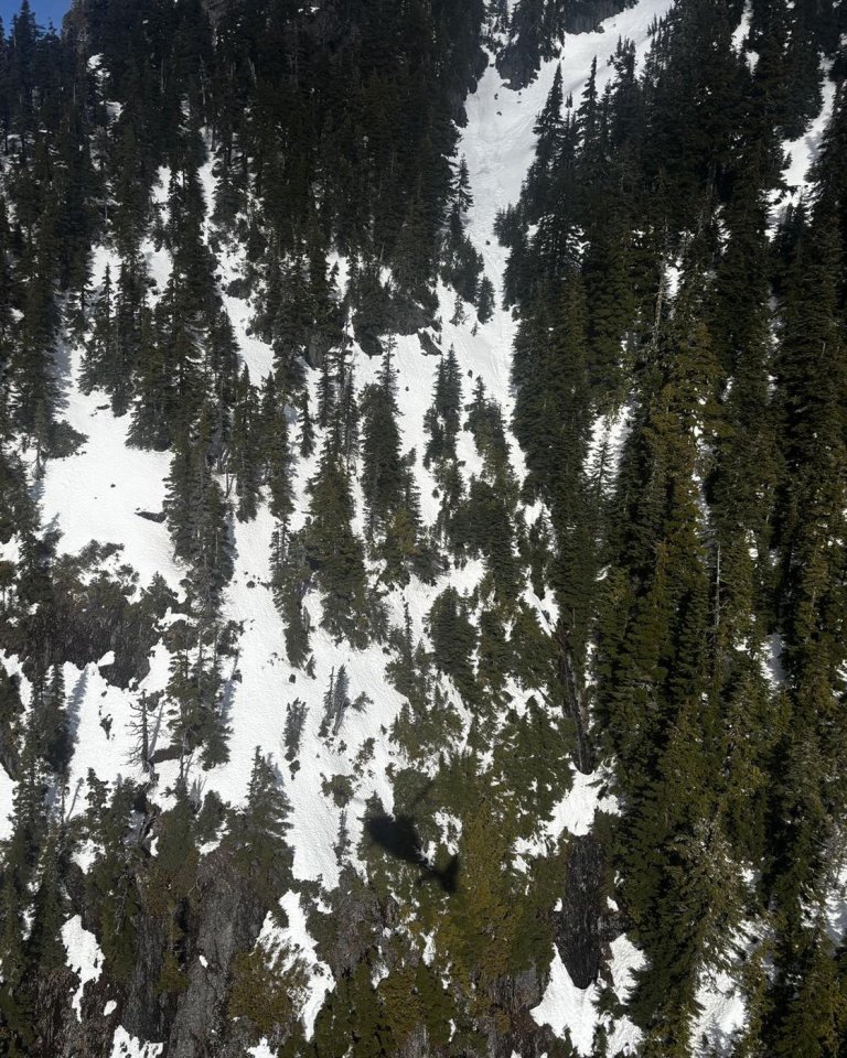 Hiker dies after fall on steep, snowy mountain near Lions Bay, B.C. | iNFOnews.ca