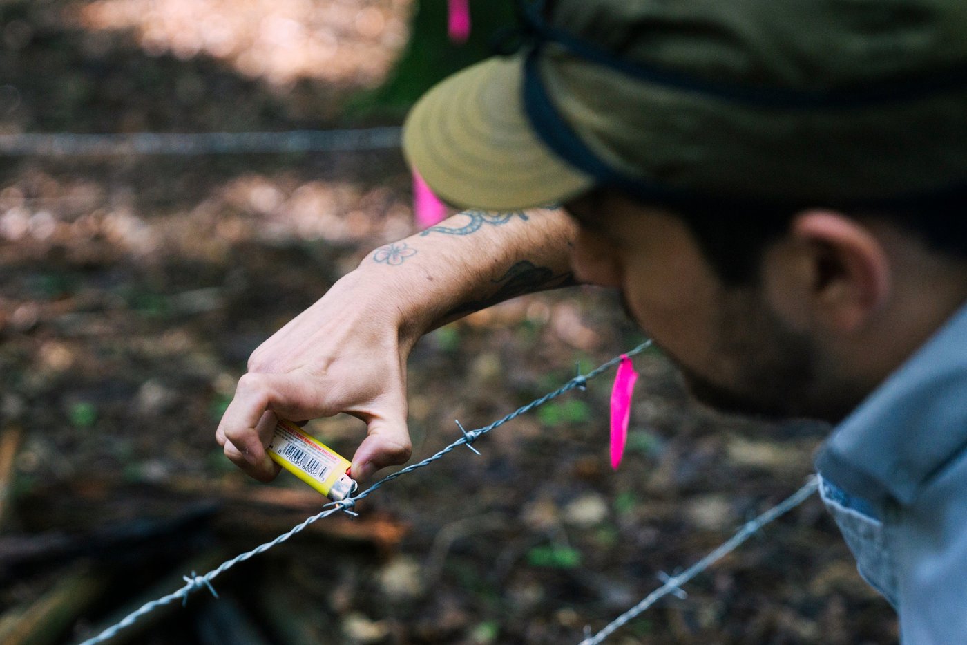 How many bears are there in CT? Here’s what it takes to find out. | iNFOnews.ca How many bears are there in CT? Here’s what it takes to find out. | iNFOnews.ca
