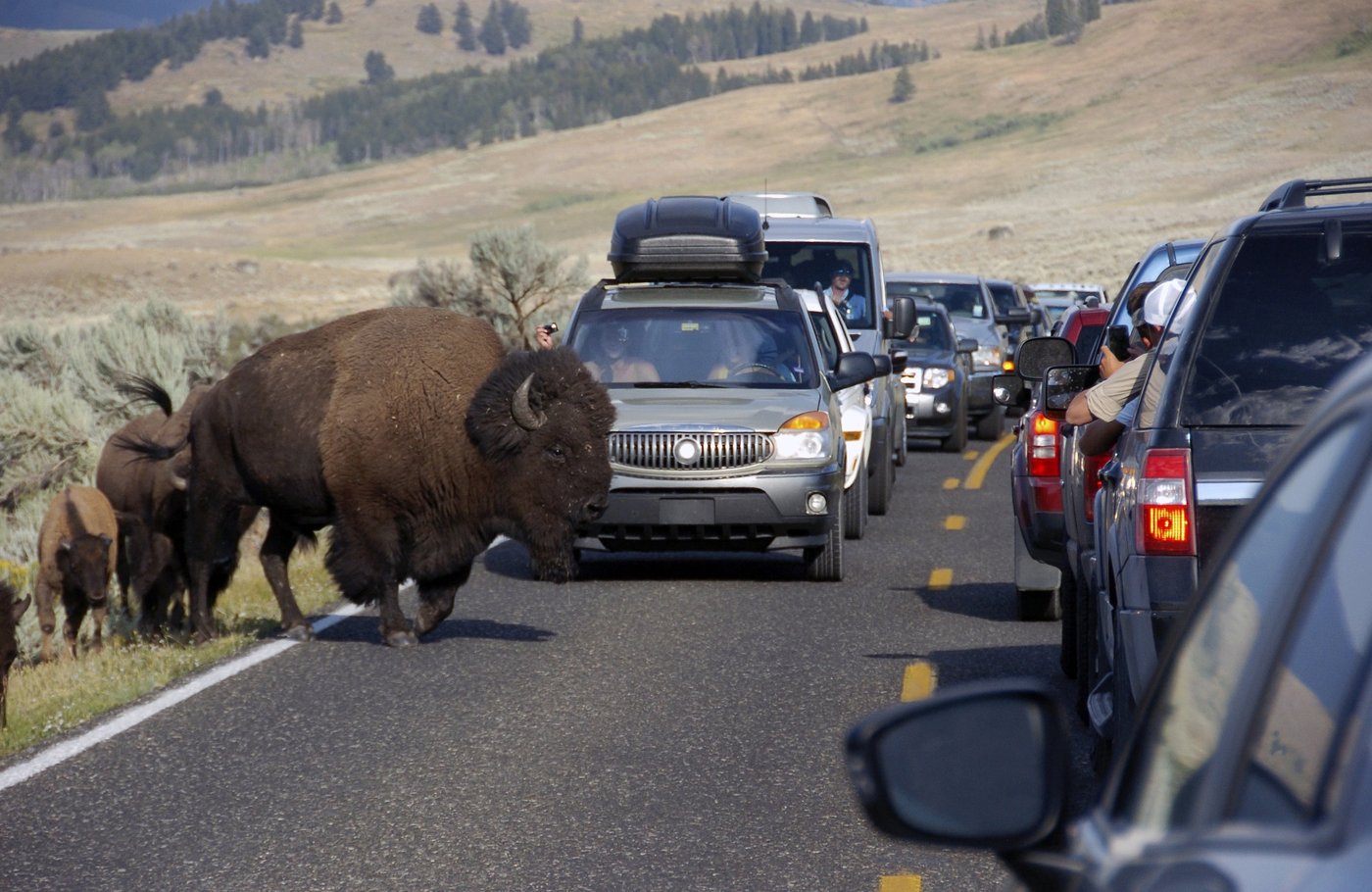 International tourists killed in vehicle crash were among millions drawn to the Yellowstone area | iNFOnews.ca