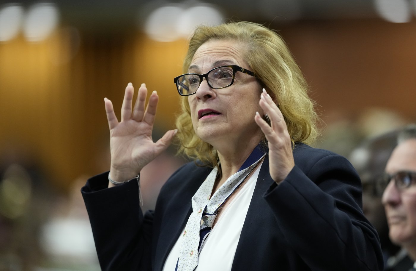 Diab says new border bill powers would have been useful during COVID-19 pandemic | iNFOnews.ca