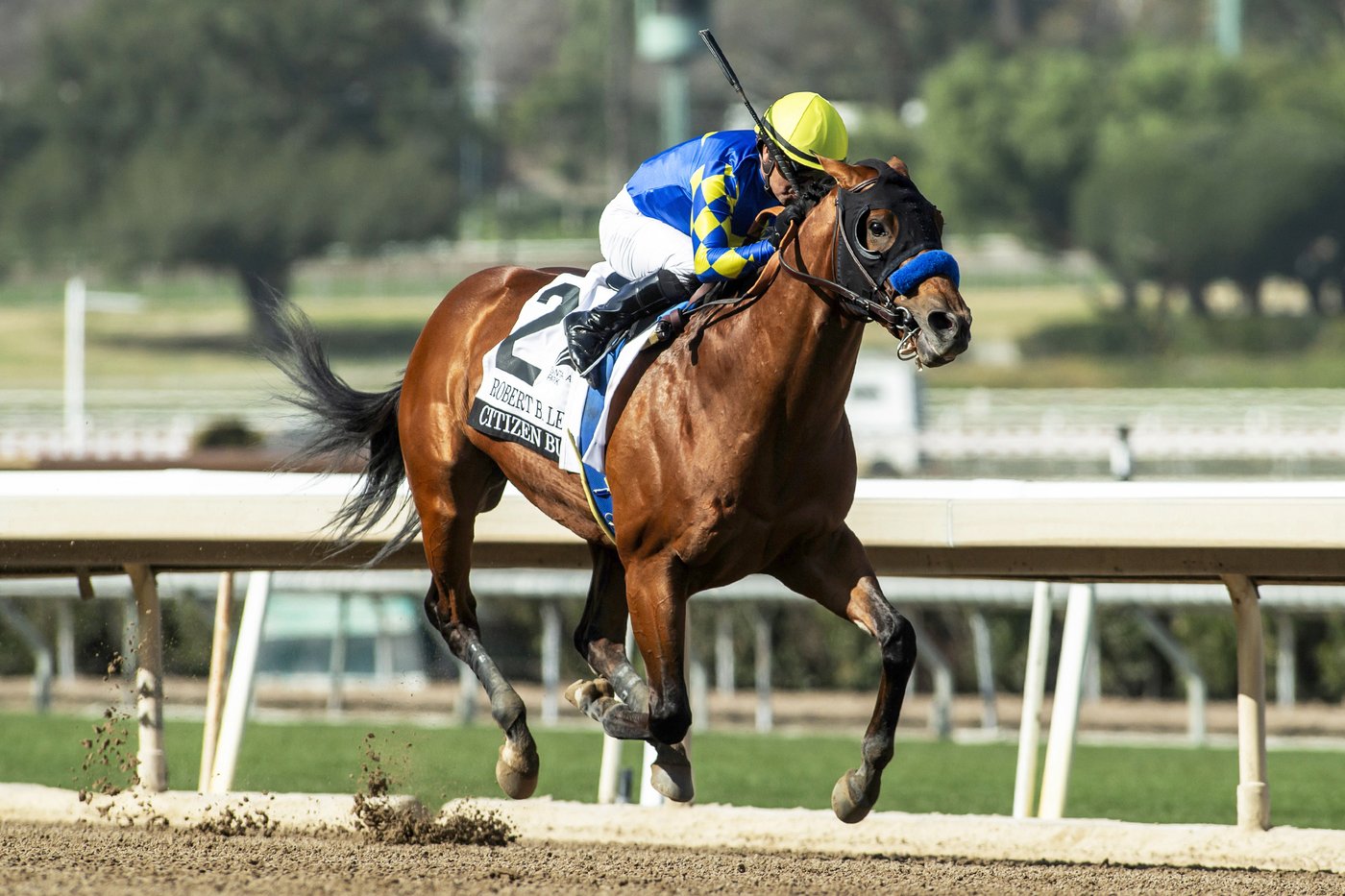373 horses nominated to compete in Triple Crown series, with trainer Todd Pletcher having 32 | iNFOnews.ca