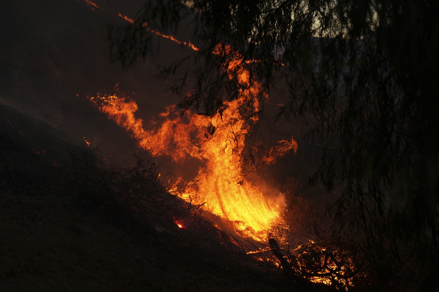 PHOTO COLLECTION: California Wildfires Kenneth Fire | iNFOnews.ca