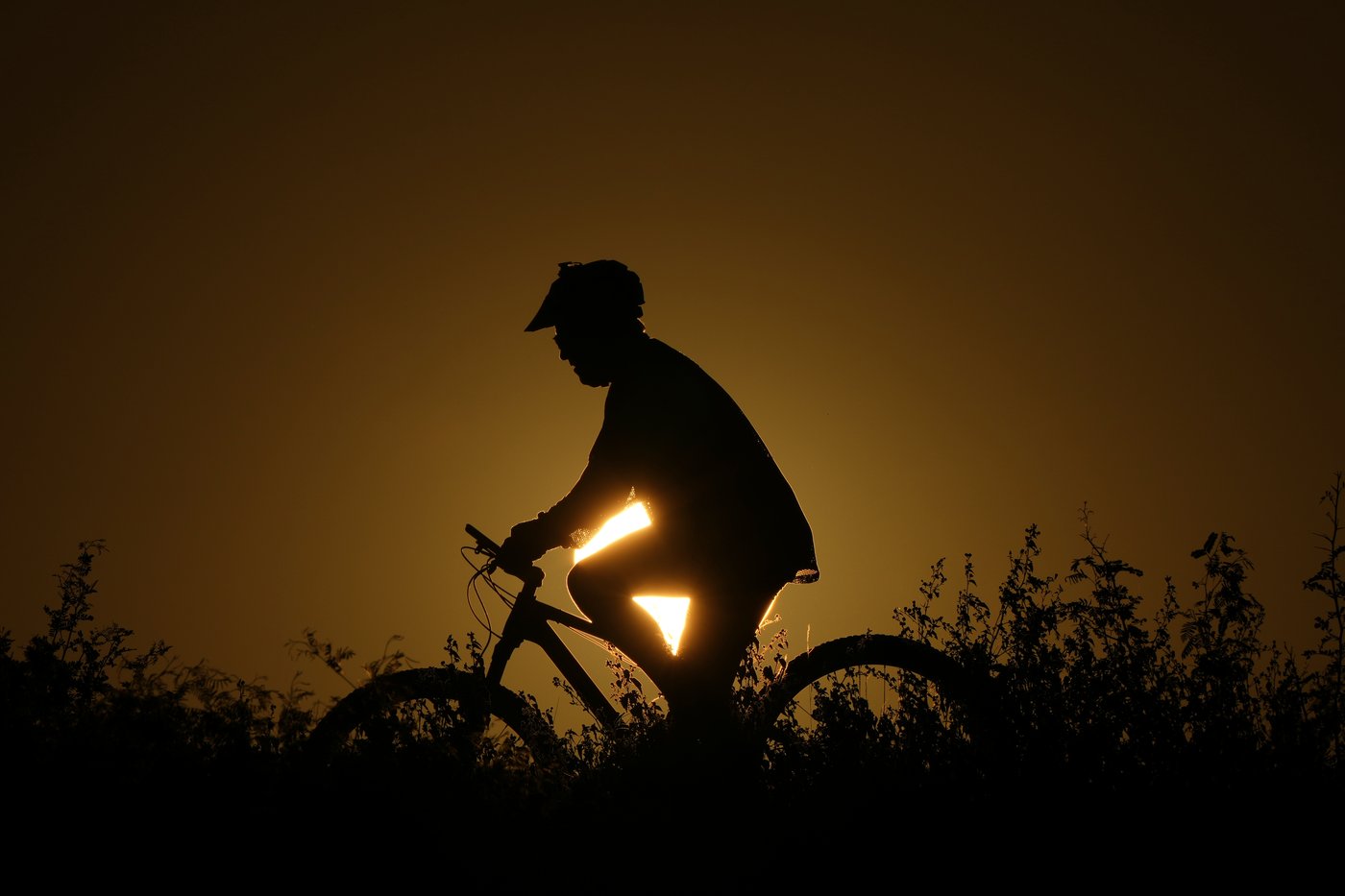 The top photos of the day by AP's photojournalists | iNFOnews.ca