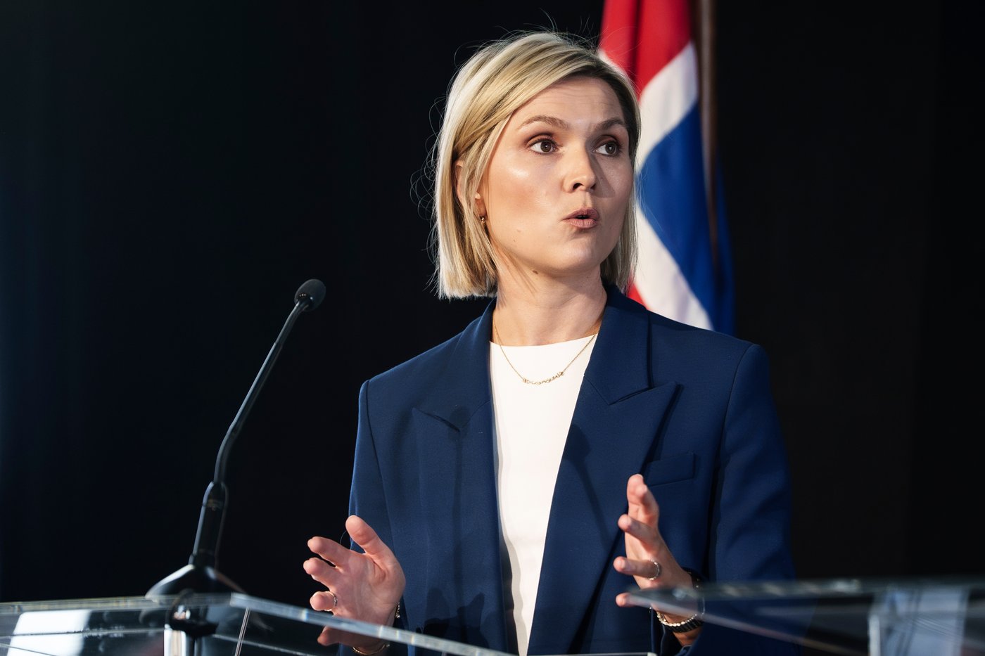 Icelandic voters reject a proposal to restart negotiations to join the European Union | iNFOnews.ca Icelandic voters reject a proposal to restart negotiations to join the European Union | iNFOnews.ca