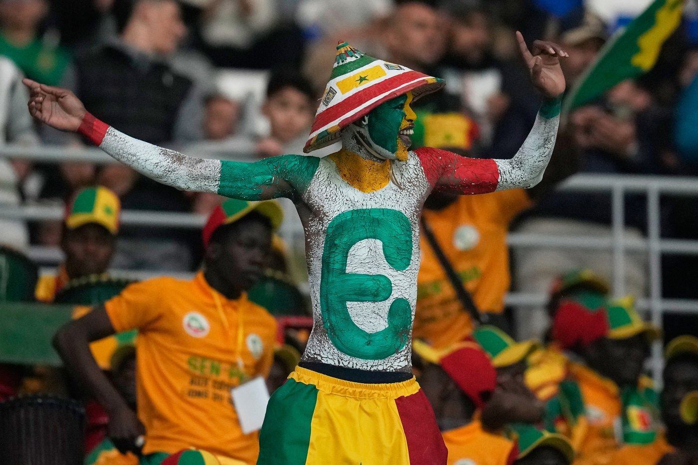Lions roar and Eagles fly: All the 24 teams' nicknames at the Africa Cup of Nations | iNFOnews.ca Lions roar and Eagles fly: All the 24 teams' nicknames at the Africa Cup of Nations | iNFOnews.ca