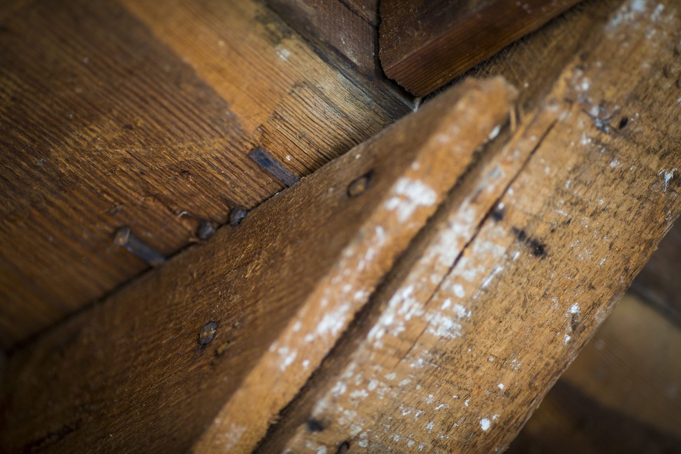 Inside a 1760 schoolhouse for Black children is a complicated history of slavery and resilience | iNFOnews.ca Inside a 1760 schoolhouse for Black children is a complicated history of slavery and resilience | iNFOnews.ca