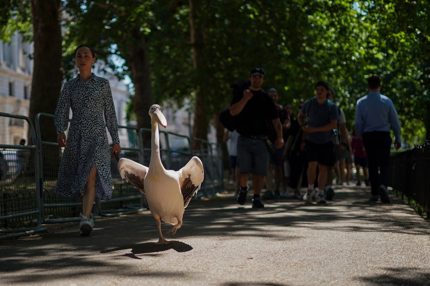 Daily life around the world, in photos | iNFOnews.ca