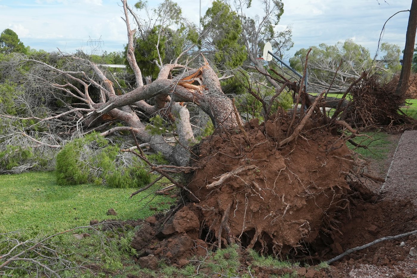 Violent Arizona storms bring possible tornado, toppled trees and golf ball-size hail | iNFOnews.ca Violent Arizona storms bring possible tornado, toppled trees and golf ball-size hail | iNFOnews.ca