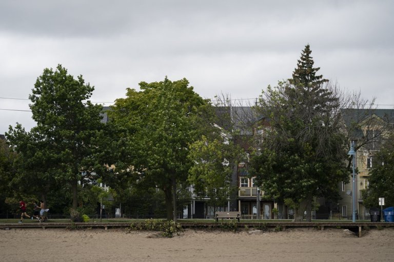 Afrofest cancelled in Toronto this year over capacity, safety concerns | iNFOnews.ca