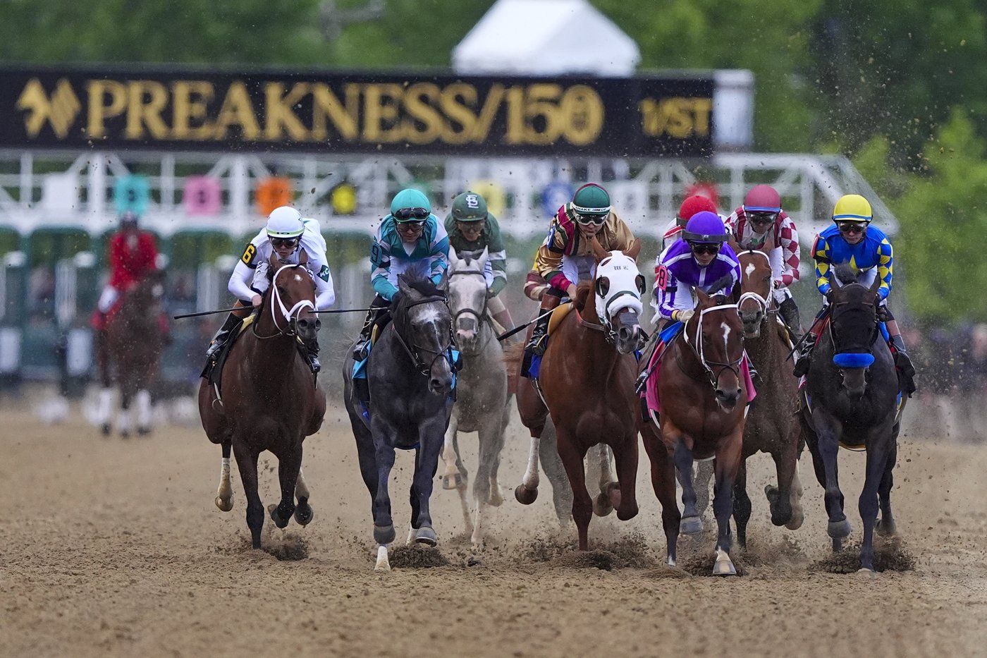 Hall of Famers Bob Baffert and D. Wayne Lukas watch horses get troubled trips in the Preakness | iNFOnews.ca Hall of Famers Bob Baffert and D. Wayne Lukas watch horses get troubled trips in the Preakness | iNFOnews.ca