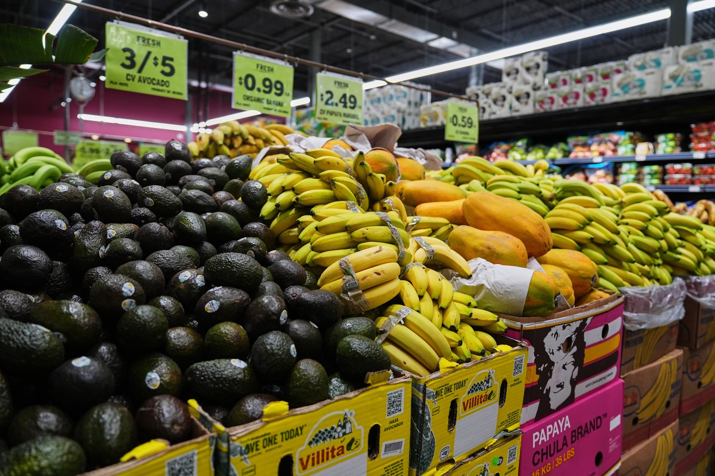 SNAP has provided grocery help for 60-plus years; here's how it works | iNFOnews.ca SNAP has provided grocery help for 60-plus years; here's how it works | iNFOnews.ca