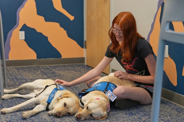 Therapy dogs bring calm and joy to students following shooting at Colorado high school | iNFOnews.ca